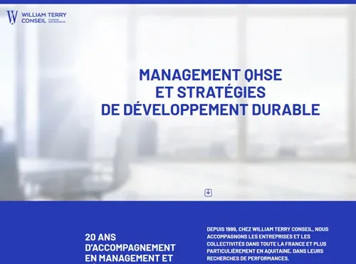 WTerry Conseil : Site de conseil aux entreprises