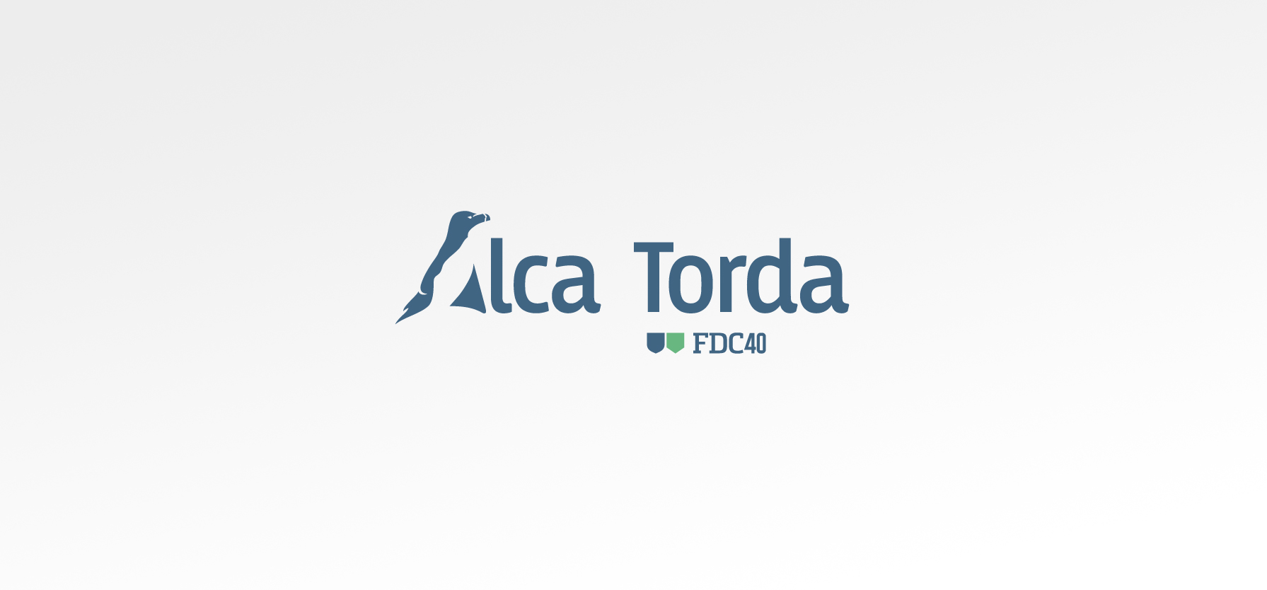 alca_torda_identite_graphique-02