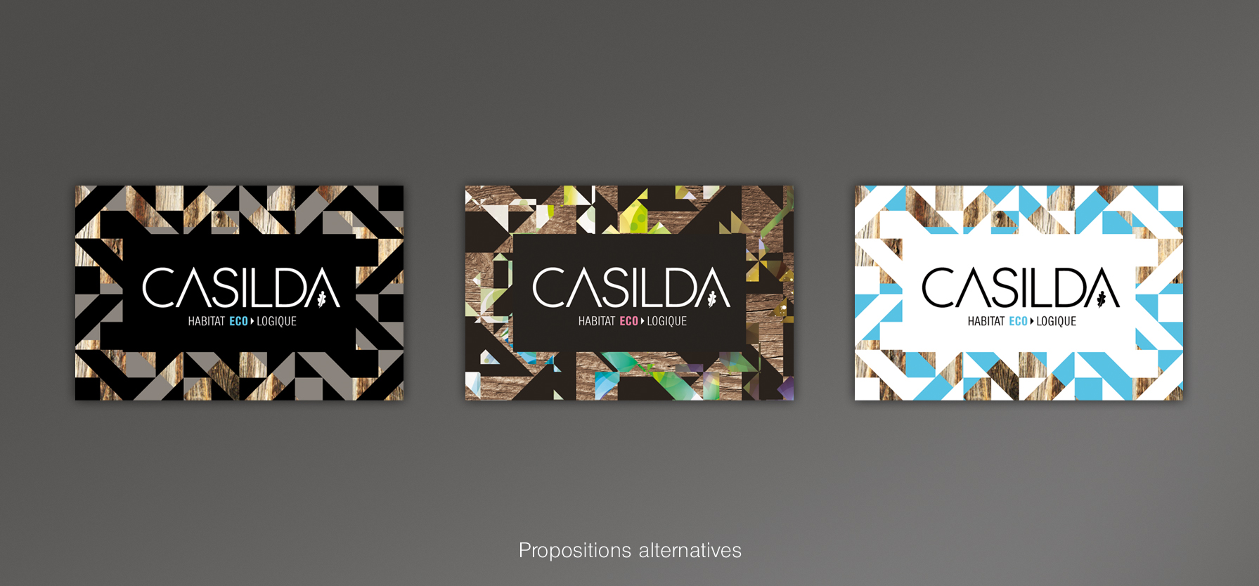 casilda_identite_graphique-09